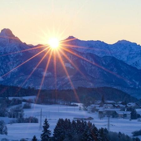 Bergkiefer - Ferienwohnung オイ・ミッテルベルグ エクステリア 写真