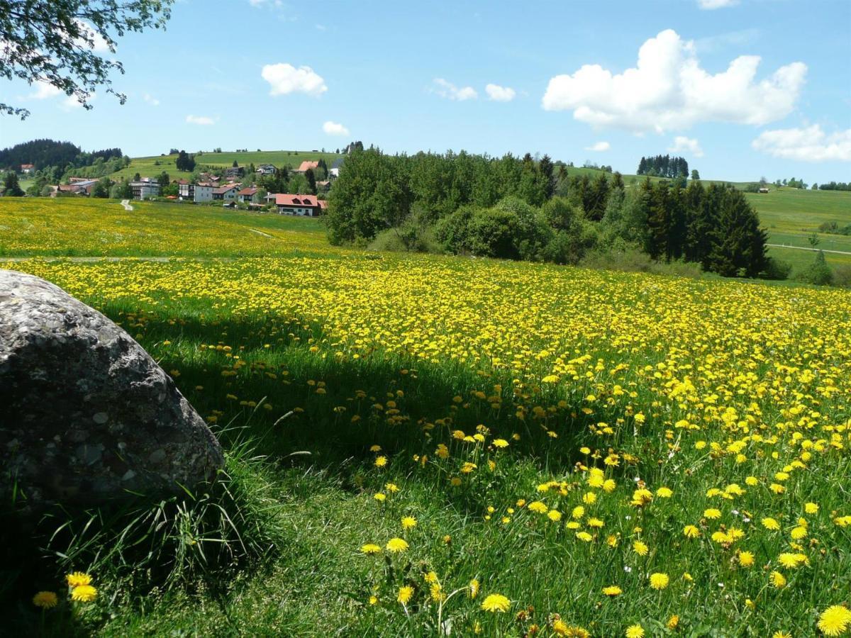 Bergkiefer - Ferienwohnung オイ・ミッテルベルグ エクステリア 写真